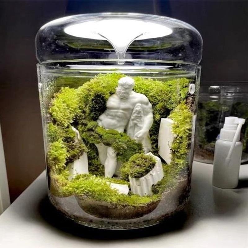 Mikro-Landschaft Glasflaschen Kreativität Tausammlung Glasvase Sukkulente Moos Landschaft Glas-Terrarium Heimdeko