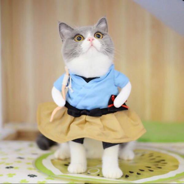 Buy Costume De Chien Drole De Chat Uniforme Vetements De De De Chiot Habiller De Soiree Pour Les De Cosplay Chattaille M Urashima Taro At Affordable Prices Free Shipping Real Reviews Buy Costume De Chien Drole De Chat Uniforme Vetements De De De Chiot Habiller De Soiree Pour Les De Cosplay Chattaille M Urashima Taro At Affordable Prices Free Shipping Real Reviews