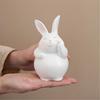 Easters Bunnies Ornament Resins Rabbit Hugging Carrot Figurine Sculpture Tabletop Decors for Holiday Decoration Lover