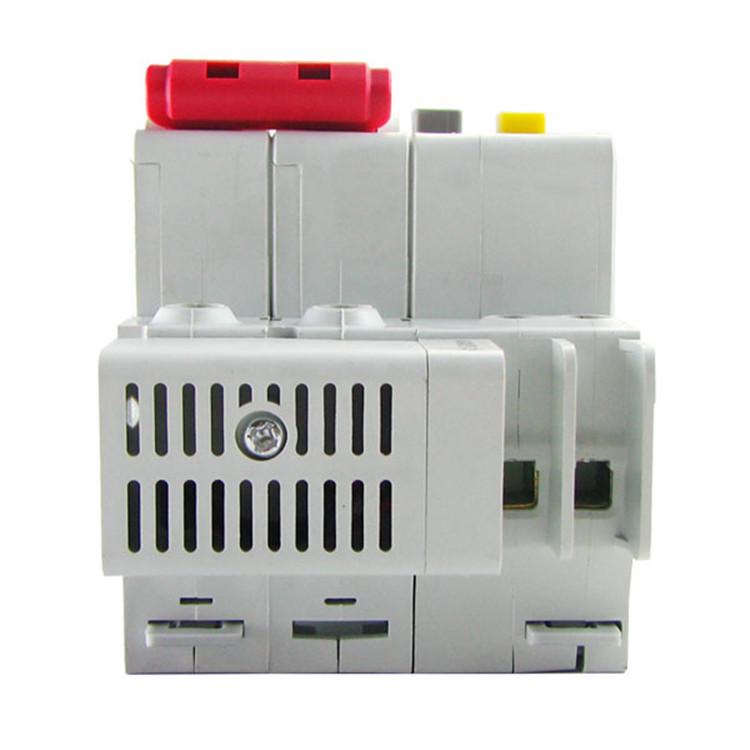 Delixi DZ47sLE-63 2P Mini Circuit Breaker with Type C Leakage Protection
