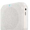 Portable Wireless Voice Amplifier Teachers Meeting Tour Guide Rechargeable PA System Speaker Personal Amplifier