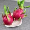 Artificial Dragon Fruit Home Decor & Photography Prop