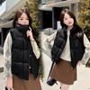 Autumn and Winter Vests Can Be Worn, Autumn and Winter 2024 Versatile Vest, High-end Foreign-style Warm Vest, Loose Vest