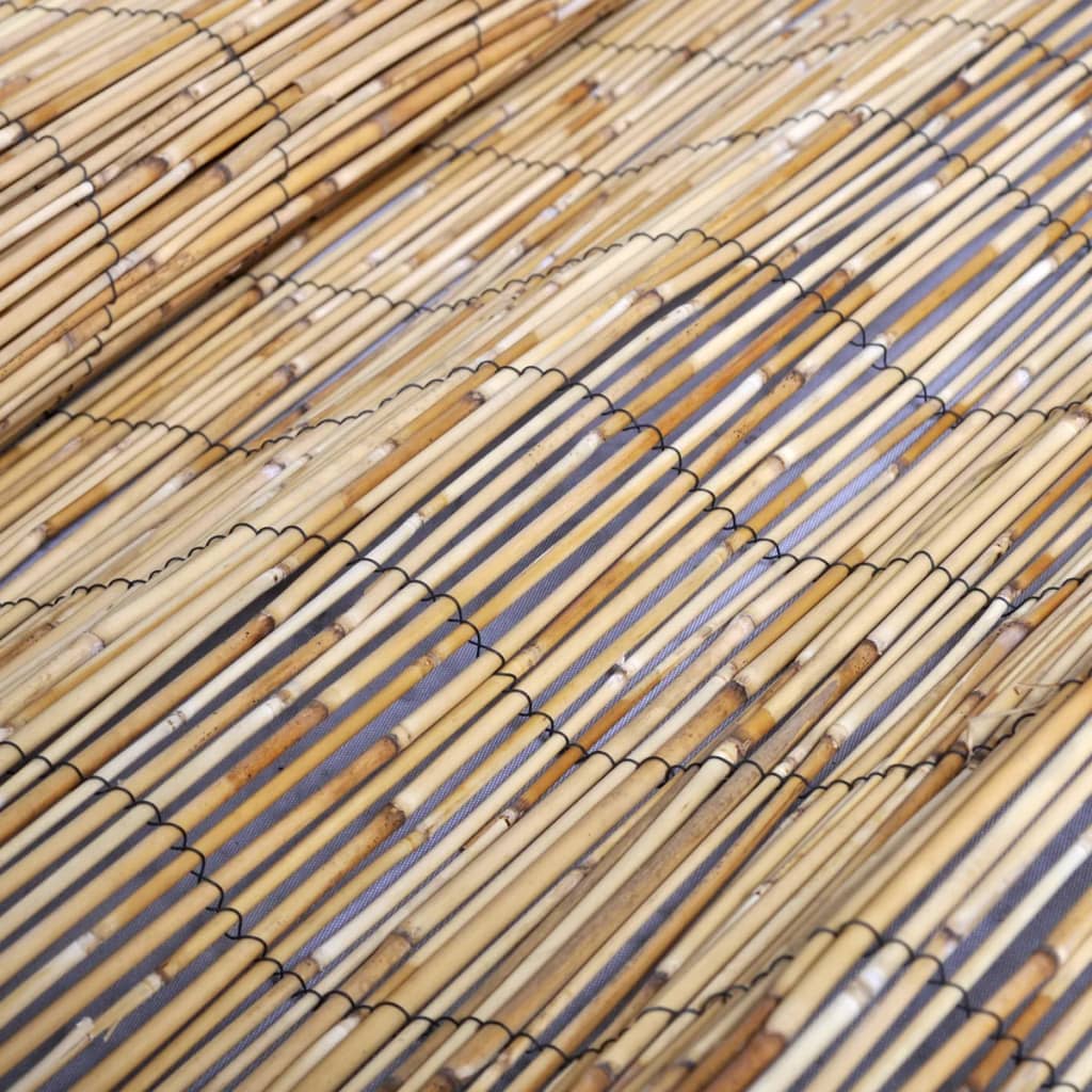 Vidaxl Recinzione di Canne, 500 X 100 Cm