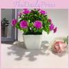 Eighteen Flowers Simulated Daisy Pine Cone Artificial Green Plant Plant Potted