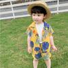 Summer Clothes Handsome Boys Summer Hawaii Clothing  Children's Shirt Korean Girls Short-sleeved Baby Clothes Beach