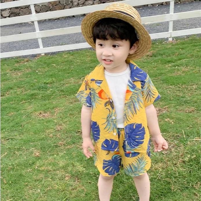 Summer Clothes Handsome Boys Summer Hawaii Clothing  Children's Shirt Korean Girls Short-sleeved Baby Clothes Beach