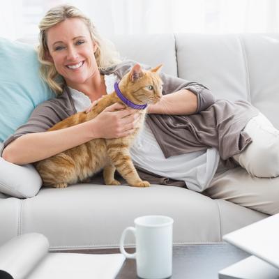 4 Stück Katzen-Beruhigungshalsband Beruhigendes Halsband Verstellbares Katzen-Pheromon-Halsband Gegen Angst Hilft bei Aggression für Alle Katzenarten