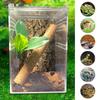 Reptile – Terarii pentru reptile