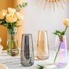 Minimalist Flower Vase Nordic Style Hydroponic Vase Aesthetic Glass Vase Desktop Decoration