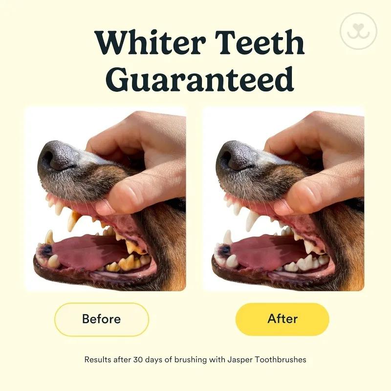 12/6pcs Clear Cover Silicone Finger Cots Pet Toothbrushes Puppy Oral Cleaning Small Brushes Cat Dog Care Accessories Products