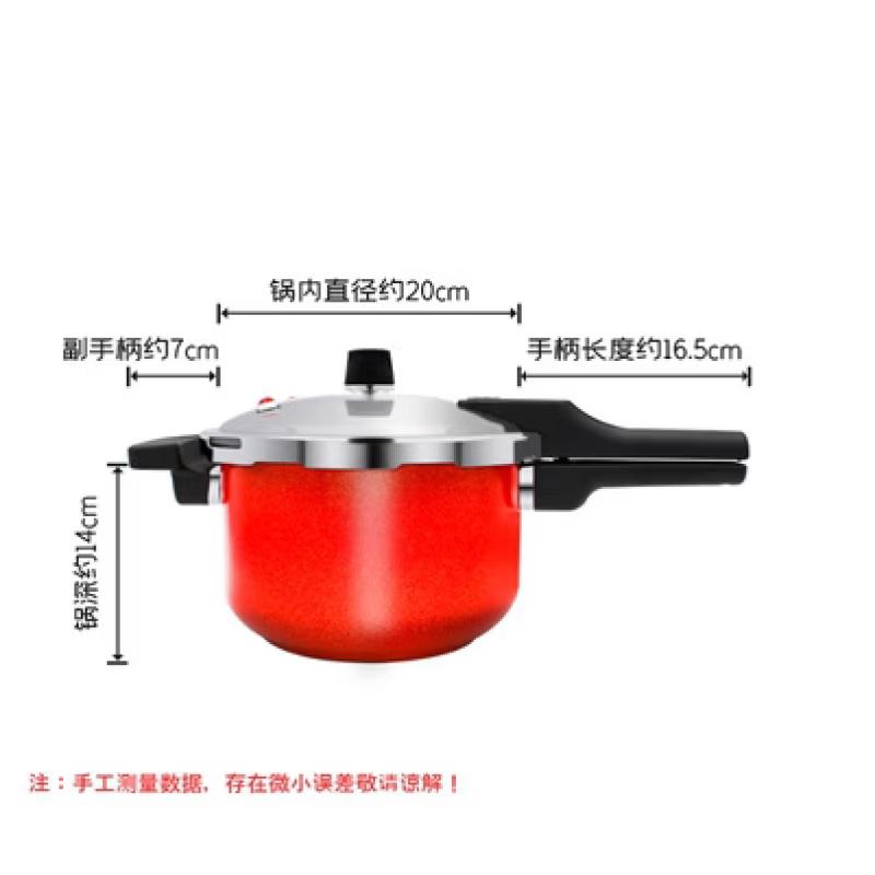 OLOEY 304 Stainless Steel Non-Stick Pressure Cooker