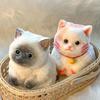 Cat Squishies Toys Taba Squishys For Sensory Play And Relaxation Cat Squishies Toys Cat Taba