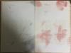 BTS (Bangtan Boys) Hwayoyeonhwa Pt.1 & 2 Album Pokéset Used