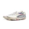 Li Ning Wade 808 5 ULTRA Basketball Shoes Men's Low Top Champagne White ABAV015-8
