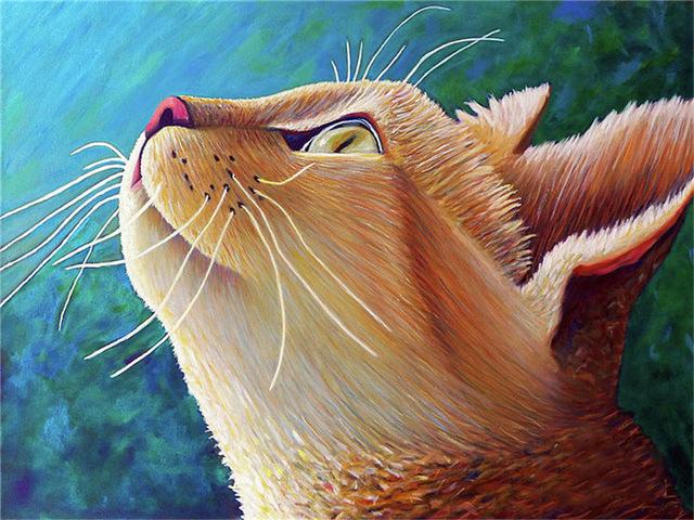 Pictură cu diamante 5d, nou sosiri, pisică drăguță, broderie cu diamante lucrată manual, mozaic de animale, cadou complet rotund/pătrat, decor acasă