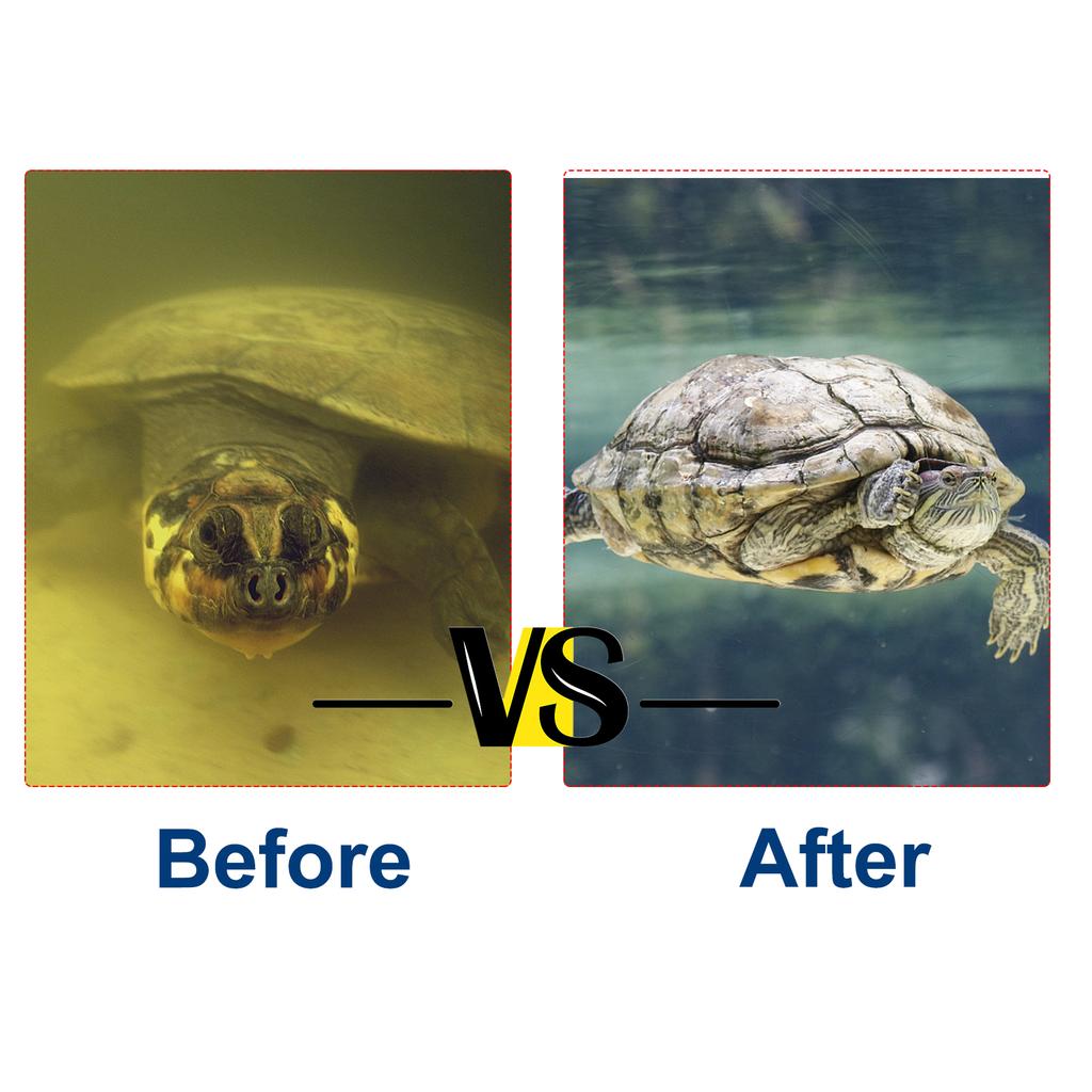 Small Water Filter For Turtle Tank 3w For Water Level 2.5-10cm 200lh Flow Rate