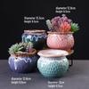 Succulent Ceramic Plant Pot