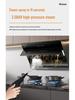 Multi-functional Handheld Steam Cleaner: High-Pressure Hood & Household Disinfection