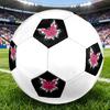 1PC Pink Butterfly Artwork Soccer Ball Size 5 Football Machine Sewn Indoor/Outdoor Universal Football S12