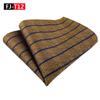 Herren Gestreiftes Polyester Seide Business Einstecktuch