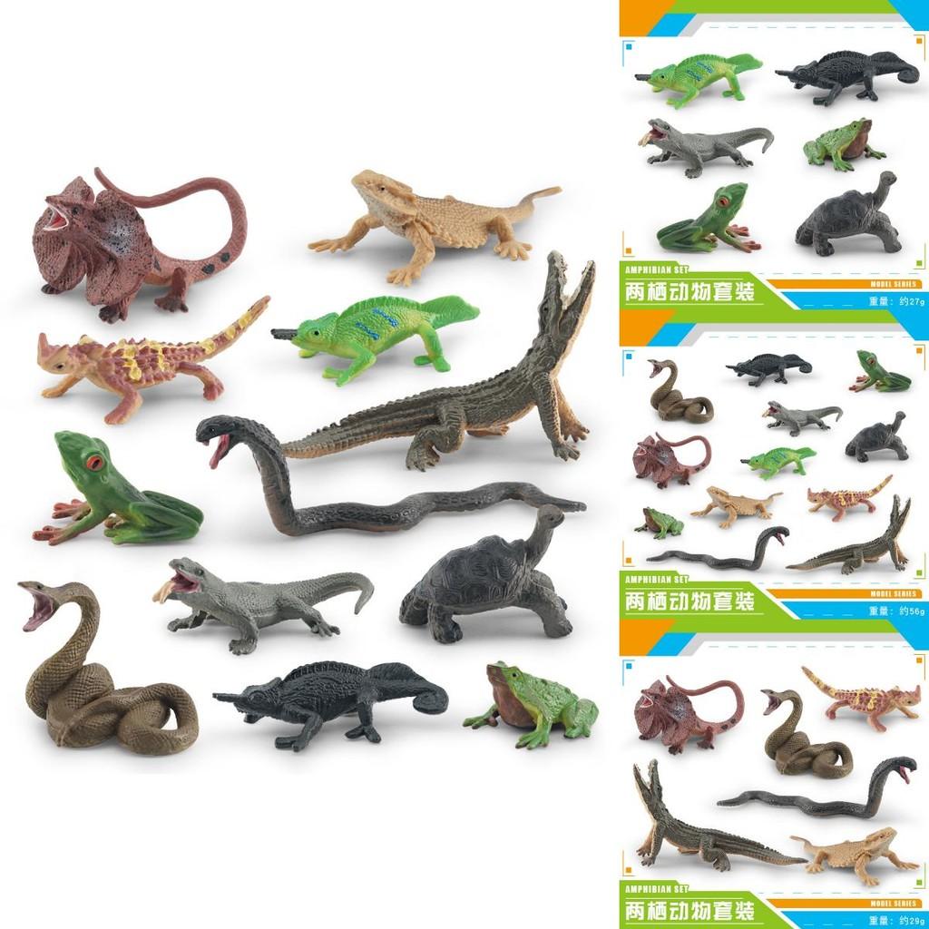 Detailed Pvc Frog Turtle Lizard Snake Chameleon Model Set For Nature Enthusiasts And Collectors