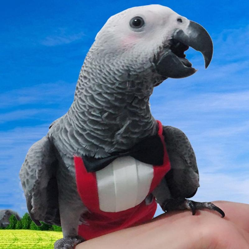 Bird Diaper Flight Suite Protective Parrot Nappies with Waterproof Inner Layer  Urine Wet Suit with Bowtie for Birds B03E