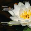 Tesori d'Oriente Water Lily Aromatic Shower Cream