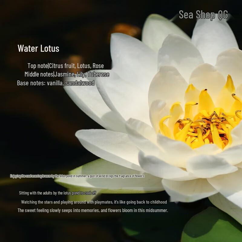 Tesori d'Oriente Water Lily Aromatic Shower Cream