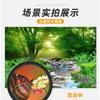 Portable Smartphone Telephoto Lens 10-30x Zoom Monocular Telescope Concerts Sports Wildlife Photography