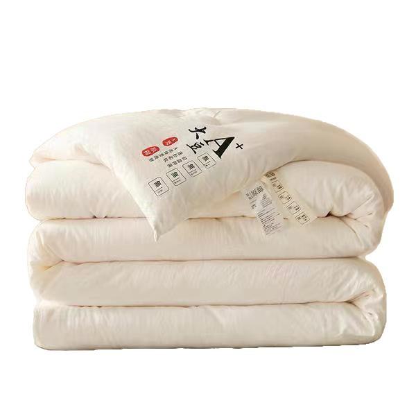 Class A All Season Quilt, Thickened Quilt Insert with Raw Cotton & Soybean Fiber, Warm Bedding for Bedroom & Student Dormitory