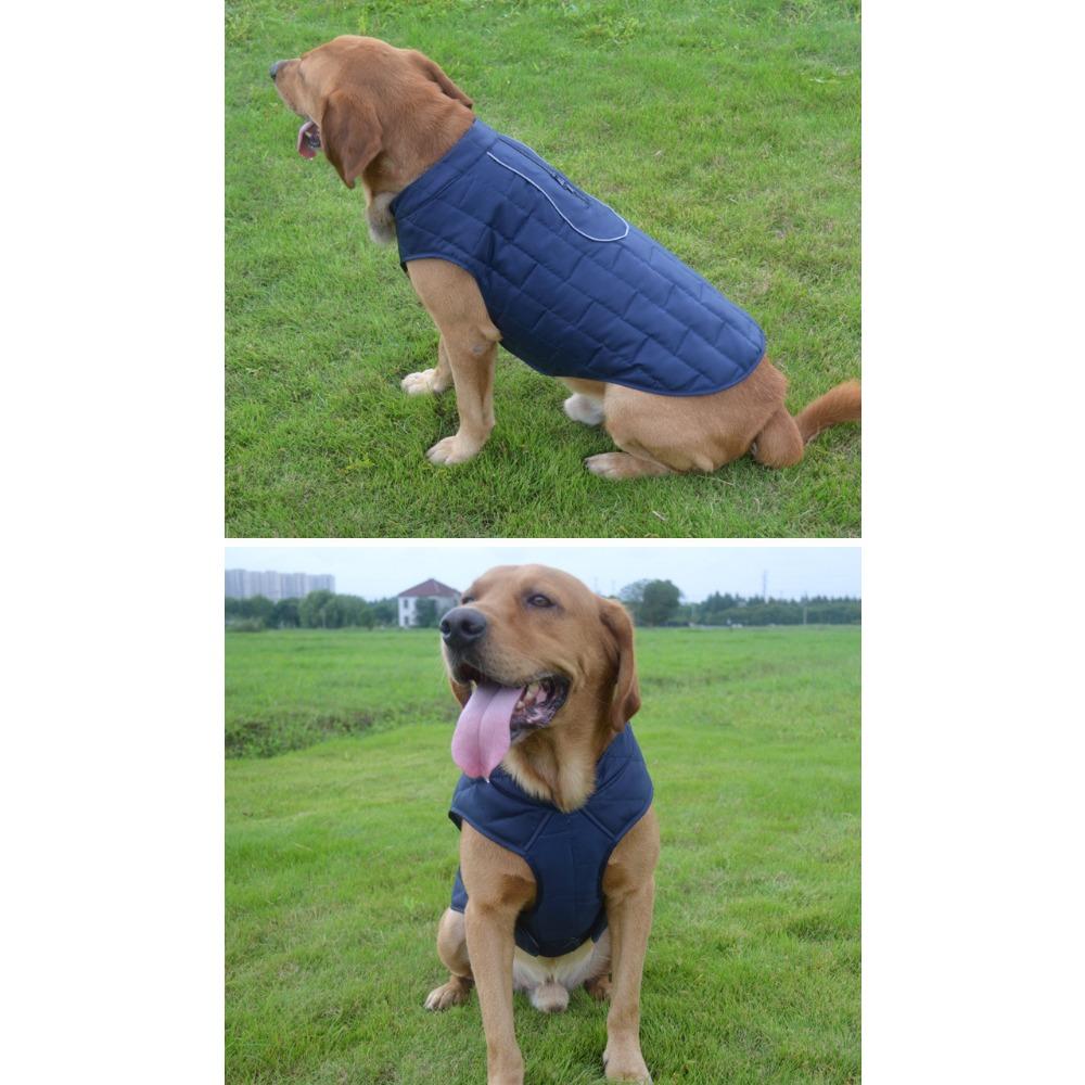 Pet Clothes Autumn and Winter Dogs Can Wear Warm Jackets On Both Sides Pet Cotton-padded Clothes