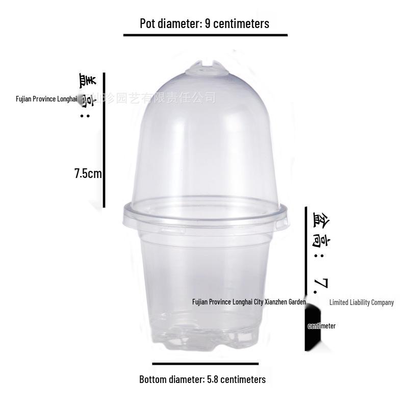 Two-Color Transparent Flower Pot with Lid - Durable, Breathable, Moisture-Retaining Seedling Cup for Heat Preservation