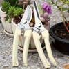 Professional Stainless Steel Garden Pruning Shears - Suitable for All Seasons, Perfect for Bonsai, Orchards, and Gardening Tasks