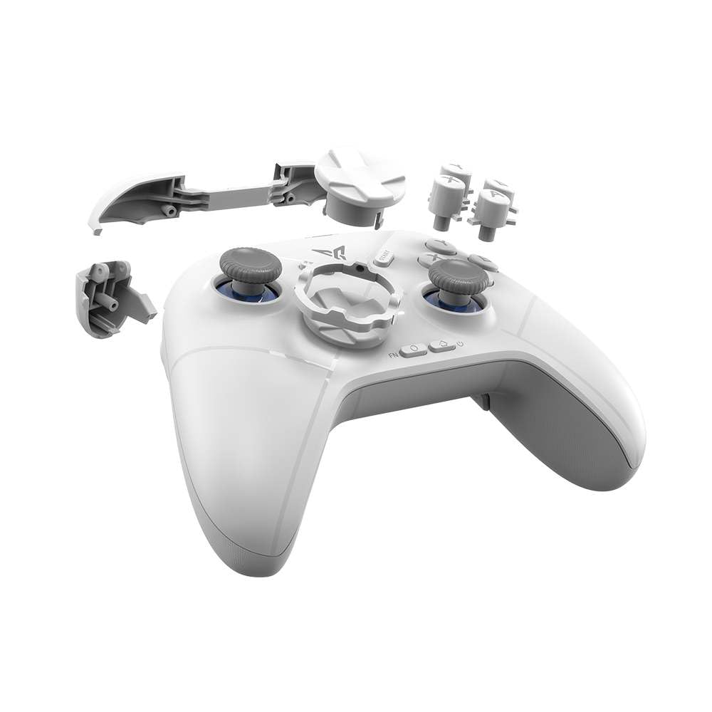 FLYDIGI Wireless Controller for Nintendo and Windows PC Japanese "DIRE WOLF3" Switch™ [Official Distributor]