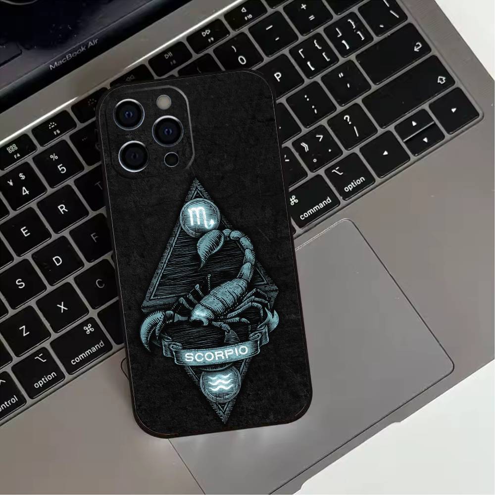 Twelve zodiac signs Phone Case For iPhone 17,16,15,14,13,12,11 Plus,Pro Max,XS,Soft Silicone Black Cover