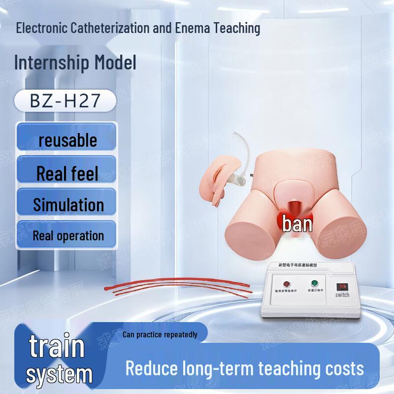 Medical Electronic Catheterization and Enema Teaching Model