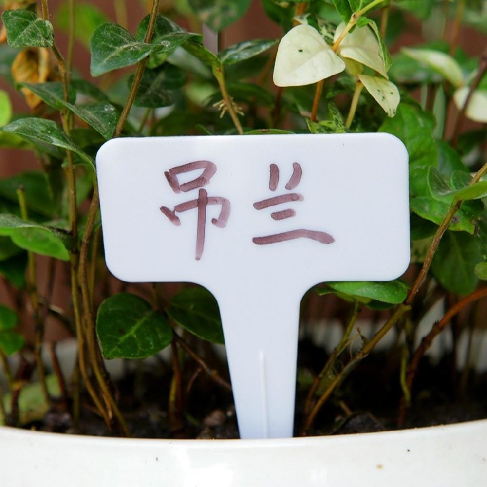 100 Pezzi Etichette Impermeabili per Piante da Vivaio e Giardino Etichette Spesse a T Resistenti all'Umidità Marcatori Decorativi Colorati Etichetta Serra