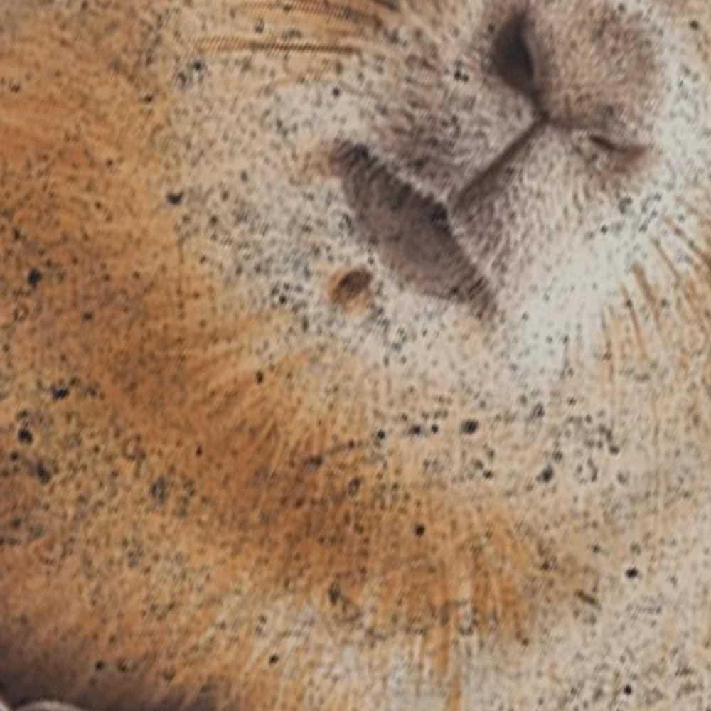 Funny Dont Worry Be Capy Capybara Retro T Shirts Tee Tops Round Neck Short-Sleeve Fashion Tshirt Casual Capybaras Lover T-shirts