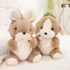 Carl Rabbit Doll Plush Toy Cute Little Rabbit Doll Girl Children Rag Doll Birthday Gift