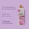 LUX Wash and Care Gift Set