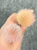 1Pc Women Girls Makeup Brush Durable Soft Bristles for Highlighting Blending Daily Use Beauty Cosmetic Tool