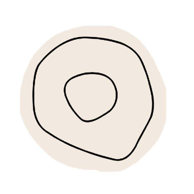 INS Irregular Carpet Non-slip Floor Mat Modern Simple Design Rug Absorbent  for Living Room Kitchen Dining Room Bedroom Decor