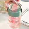 600/800Ml Large Capacity Sports Water Bottle With Hidden Straw Portable Sealed Leak-Proof Plastic Cup Outdoor Travel Camping