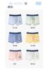 Boys' Ice Silk Underwear