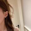 Sparkling Teardrop Tassel Earrings Light Luxury Zircon Earrings Face Slimming High-End Fashion Gift for Girlfriend
