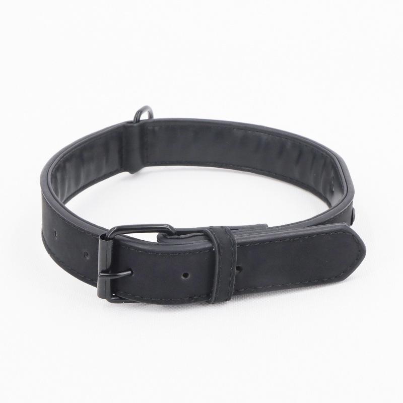 Collier anti-perte dépoli pour chiots de petite taille, de grande taille et Huskies