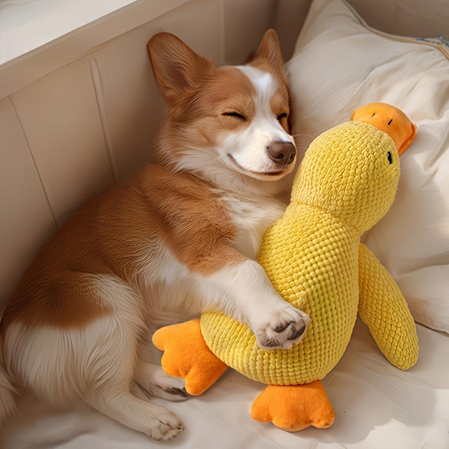 Plush Squeaky Duck Dog Toy - Bite-Resistant, Soft Chew Toy for Medium To Small Breeds with Interactive Sound Effects, Ideal for Play & Training