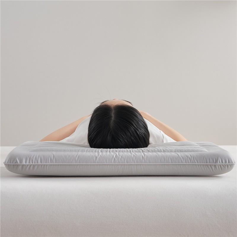 Memory Foam Buckwheat Pillow Neck Support Sleep Aid Low Profile Single Bed With Cotton Cover