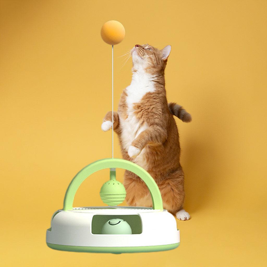 cat ping pong ball